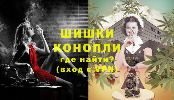 твердый Туринск
