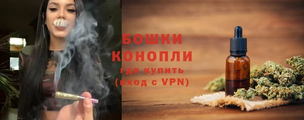 стафф Тутаев