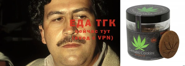 твердый Туринск