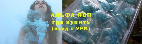 твердый Туринск