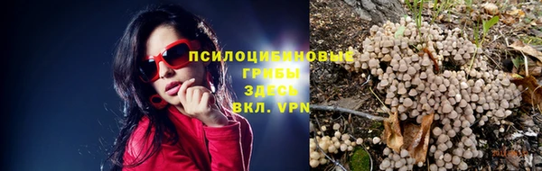 твердый Туринск