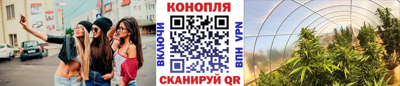 OMG ссылки  Орехово-Зуево  Бошки Шишки индика 
